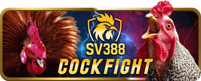 Biểu tượng địa chỉ văn phòng 79king 78